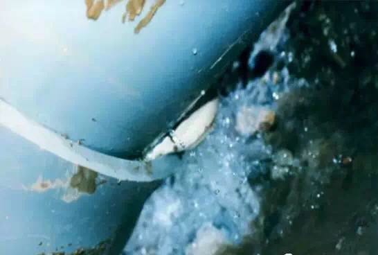 316346797900848288.jpg 316346797900848288.jpg